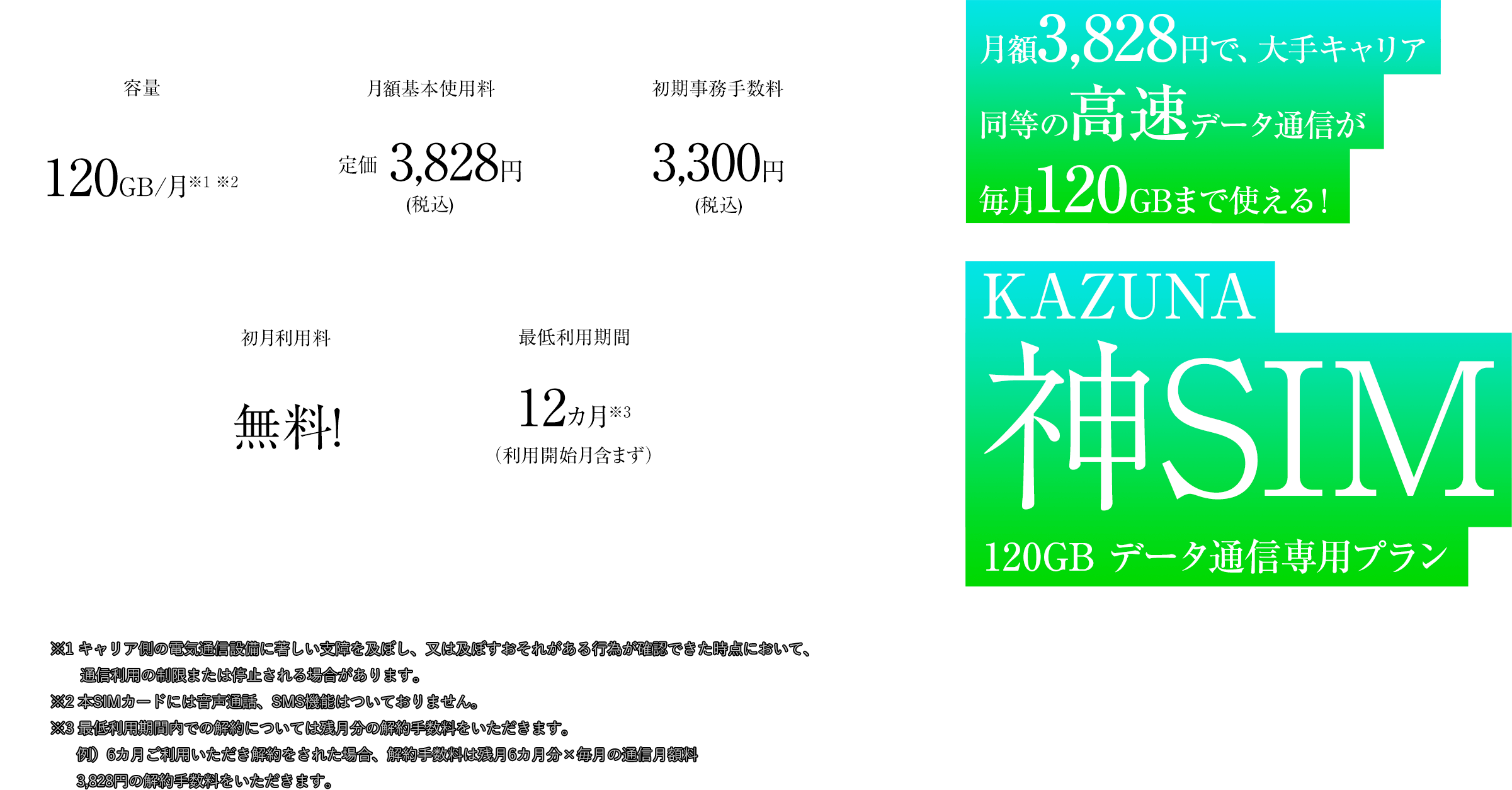 月額3,480円で、無制限に使える!KAZUNA神SIM